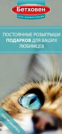 Бетховен | Москва, ул. Декабристов, 15Б, Москва