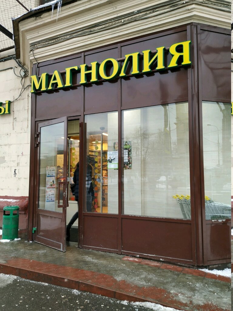 Магнолия | Москва, 1-я ул. Машиностроения, 18/36, Москва