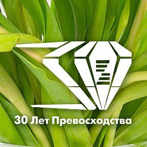 Zepter International | Краснодар, Северная ул., 88, Краснодар