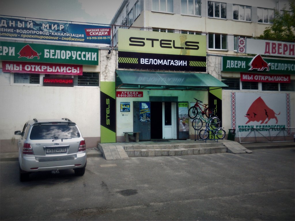 Stels | Брянск, Московский просп., 99, Брянск