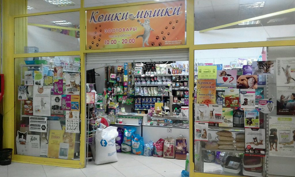 Кошки-мышки | Новосибирск, Дачная ул., 60, корп. 14, Новосибирск