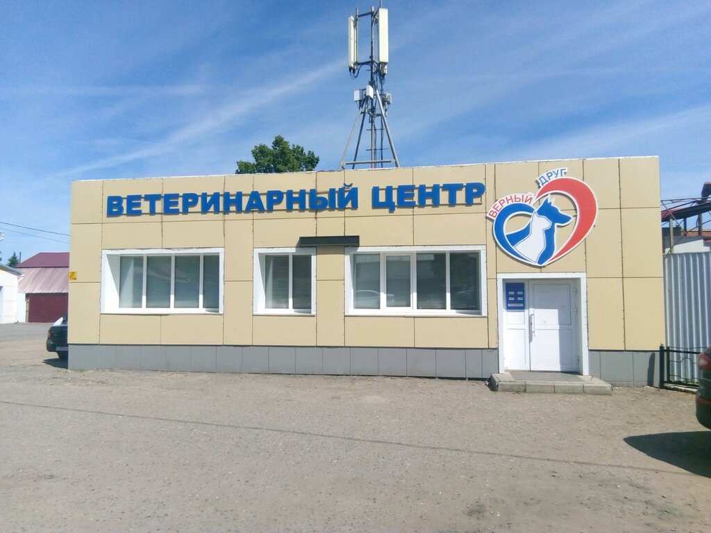 Верный друг | Саранск, ул. Красина, 1, Саранск