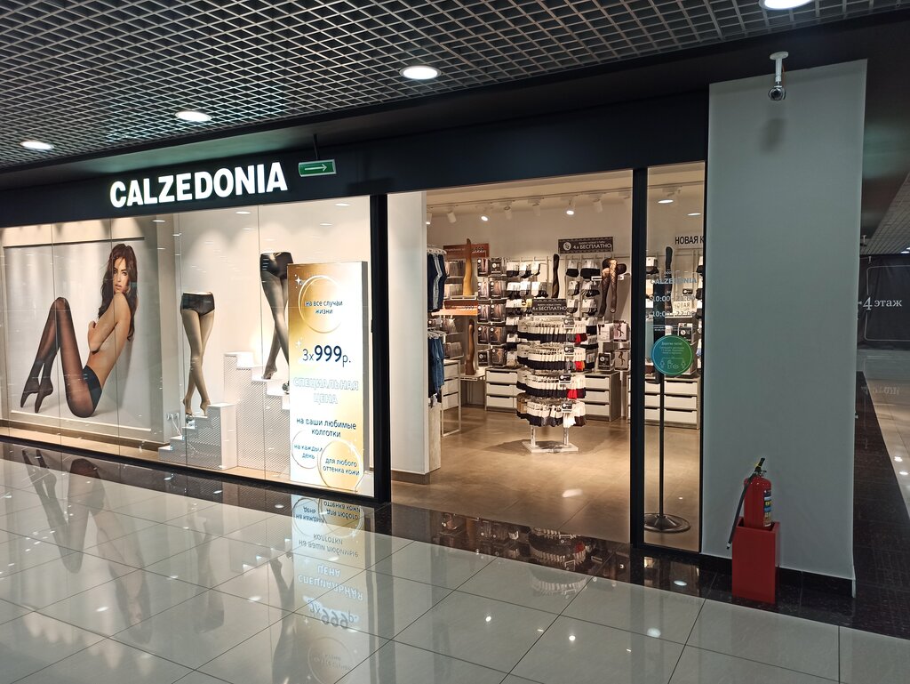 Calzedonia | Владивосток, ул. Полетаева, 6, микрорайон Седанка, Владивосток