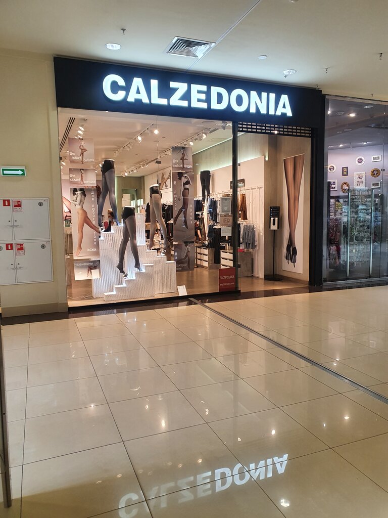 Calzedonia | Новокузнецк, ул. Кирова, 55, Новокузнецк