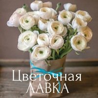 Цветочная Лавка | Санкт-Петербург, ул. Жуковского, 14, Санкт-Петербург