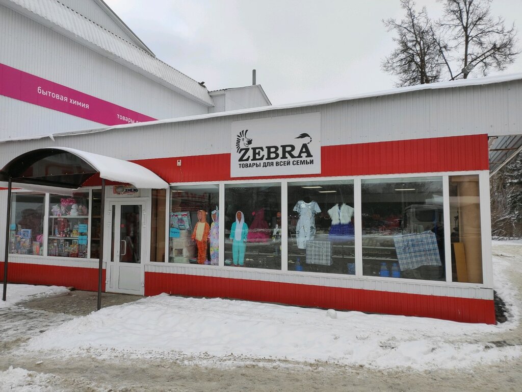 Zebra | Пенза, Тепличная ул., 9, Пенза