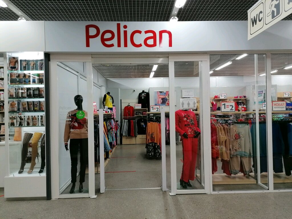 Pelican | Новосибирск, Цветной пр., 2, Советский район, микрорайон Академгородок, Новосибирск