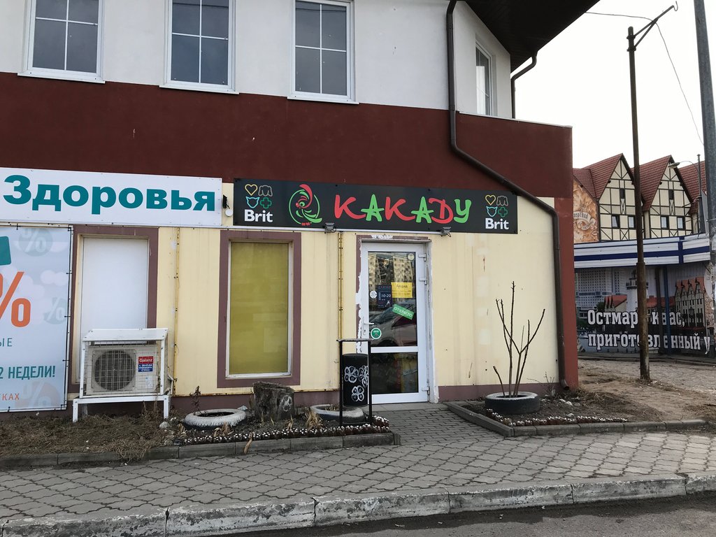 Какаду | Калининград, Октябрьская ул., 5В, Калининград